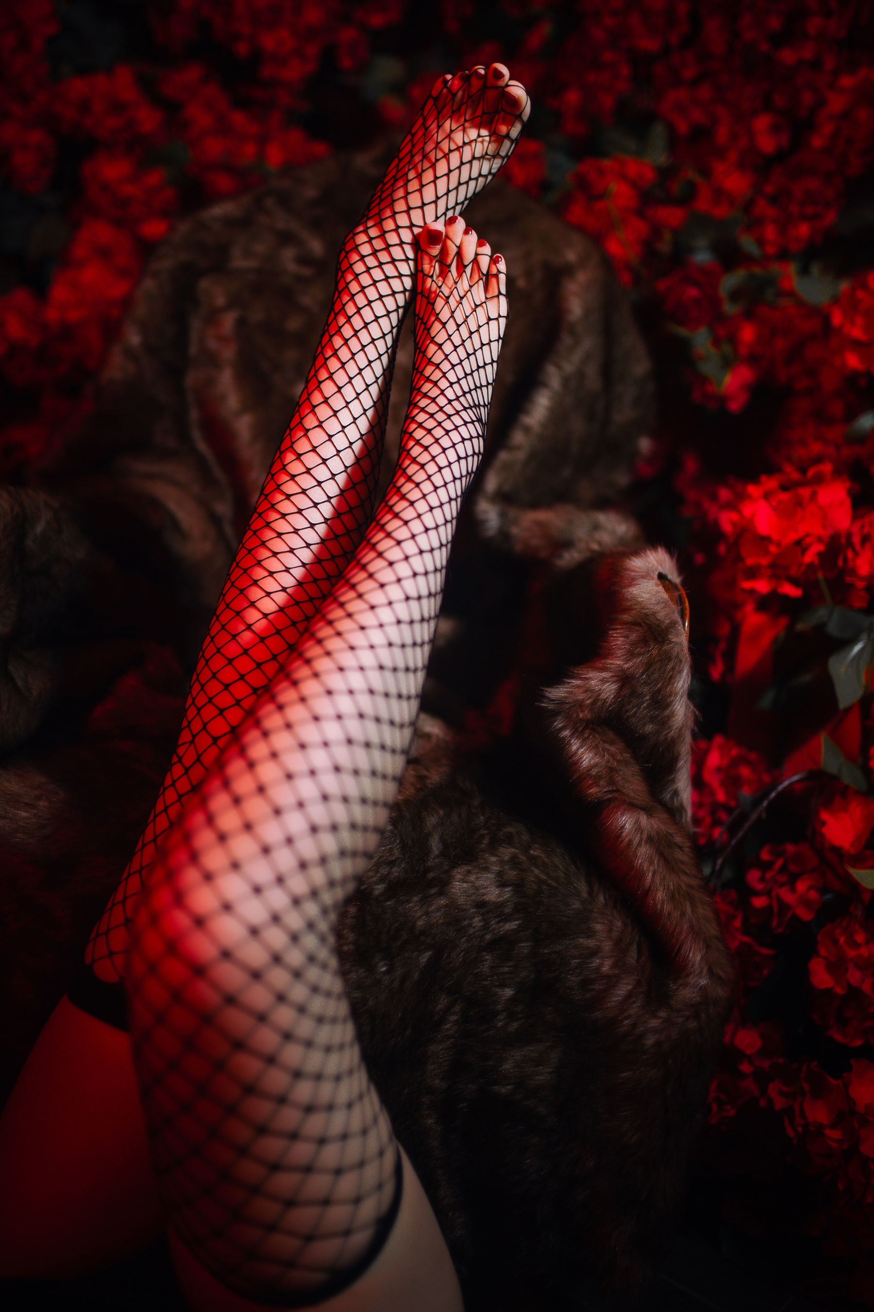 [网红COSER] 高颜值coser念念_D – 半人马旗袍 写真集-二爷美图分享,Cosplay美图,私房写真,套图下载