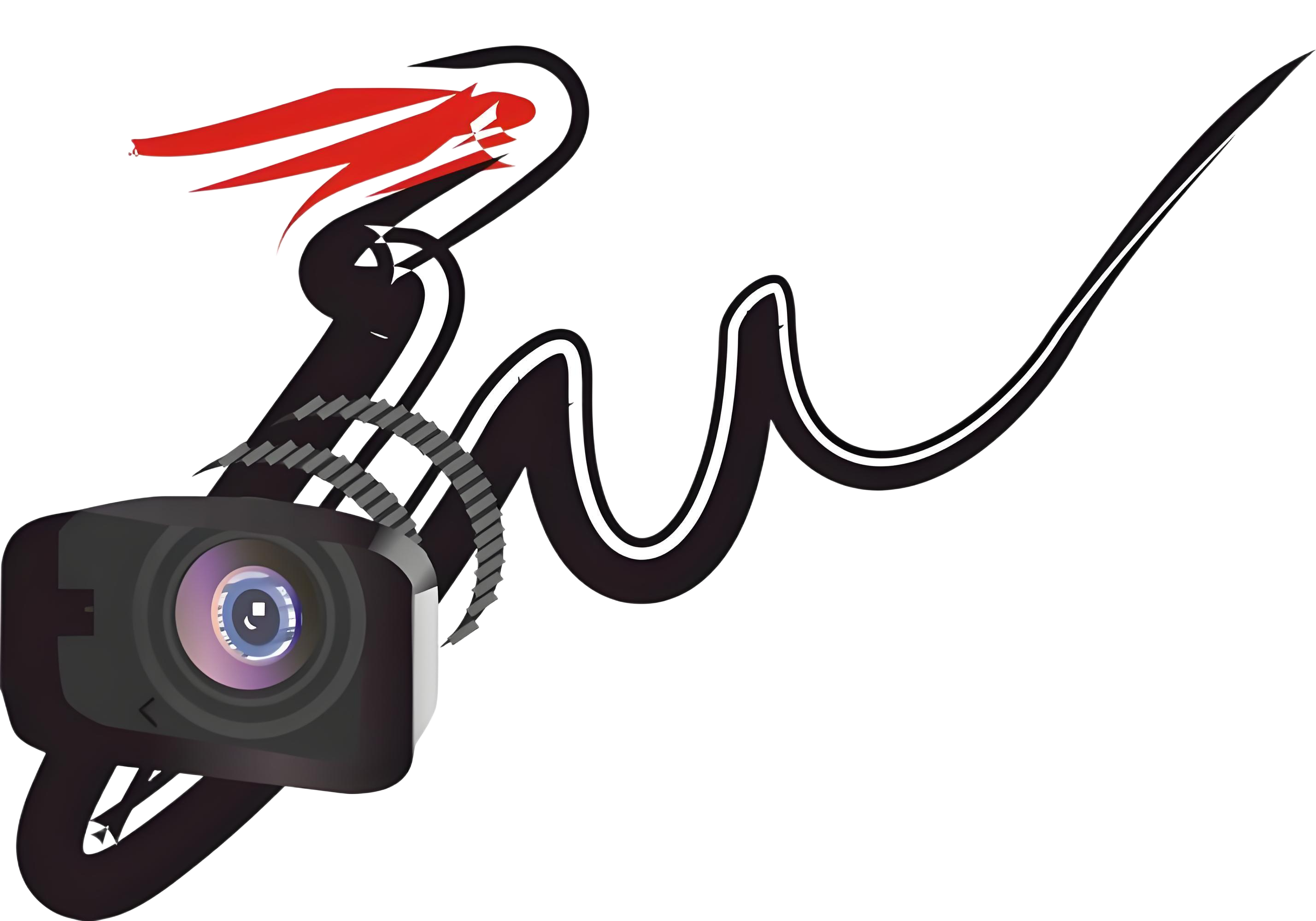 小罗莉的白“涩”内衣-二爷美图分享,Cosplay美图,私房写真,套图下载